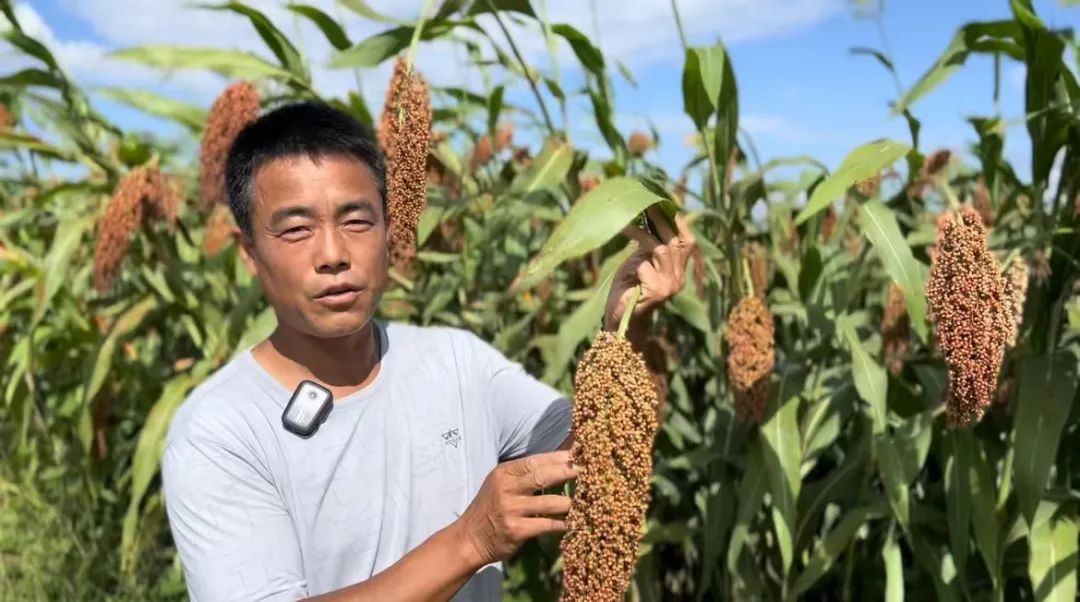 多宝游戏盒子官网